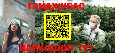 амф Новозыбков