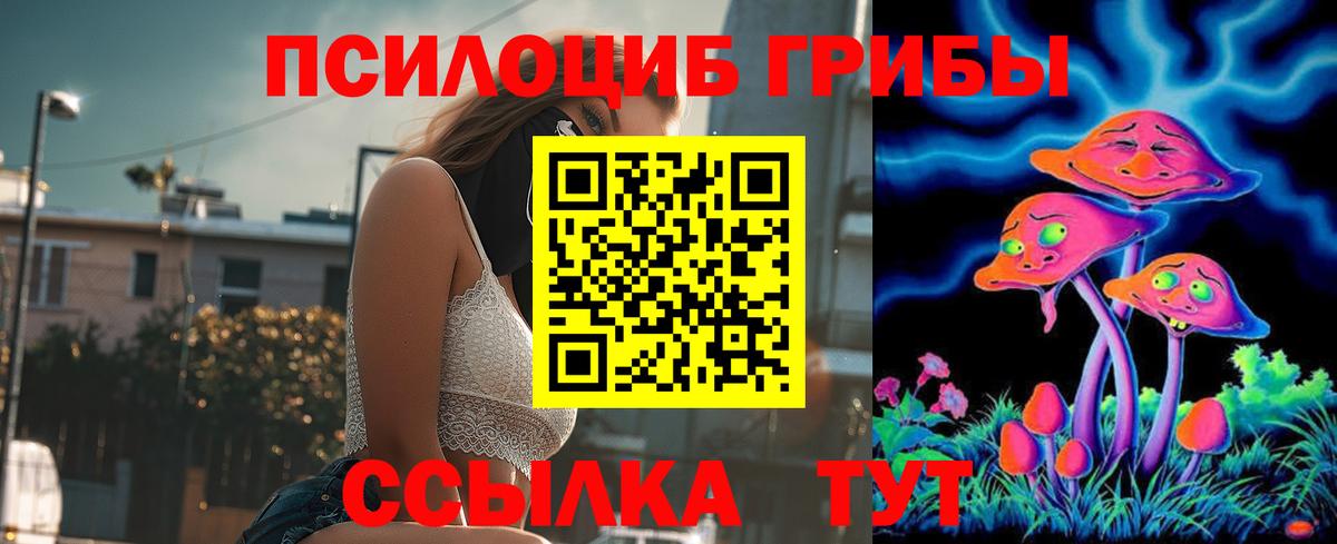 Псилоцибиновые грибы Psilocybe  Вход с VPN  Озёры 